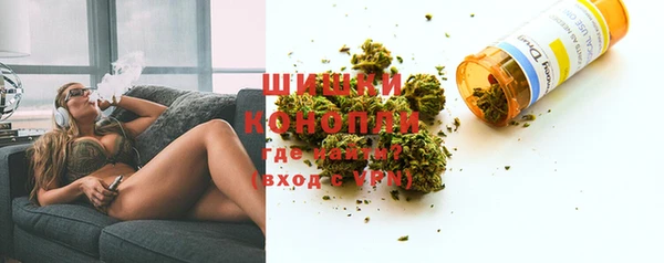 стафф Богородск