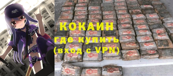сатива Покачи