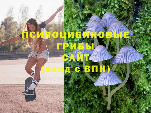 PSILOCYBIN Покров