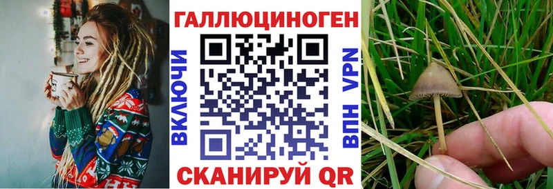 Псилоцибиновые грибы мицелий Пионерский